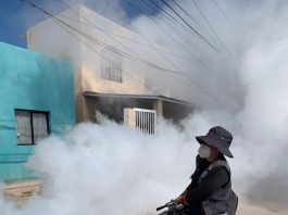 Salud Sonora fortalece la prevención y control del dengue