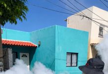Mantener patios y viviendas limpias es la medida más efectiva contra el dengue; la fumigación complementa la prevención