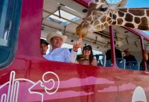 Gobernador Durazo reaviva Centro Ecológico de Sonora; se registran 73 nacimientos en 2026