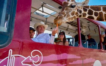 Gobernador Durazo reaviva Centro Ecológico de Sonora; se registran 73 nacimientos en 2026