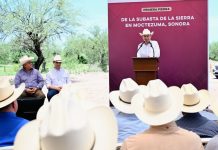 Con apoyo de presidenta Sheinbaum, Gobernador Durazo inicia construcción de Subasta ganadera de la sierra en Moctezuma