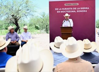 Con apoyo de presidenta Sheinbaum, Gobernador Durazo inicia construcción de Subasta ganadera de la sierra en Moctezuma