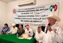 CNC estatal se prepara hacia el congreso nacional