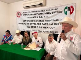 CNC estatal se prepara hacia el congreso nacional