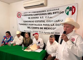 CNC estatal se prepara hacia el congreso nacional