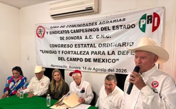 CNC estatal se prepara hacia el congreso nacional