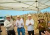 Sonora lidera el crecimiento del campo en el norte del país: Durazo