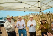 Sonora lidera el crecimiento del campo en el norte del país: Durazo