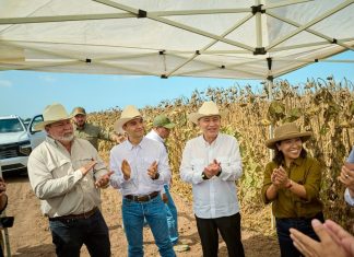 Sonora lidera el crecimiento del campo en el norte del país: Durazo