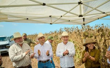 Sonora lidera el crecimiento del campo en el norte del país: Durazo