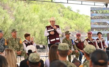 Con más de 13 mil árboles, Gobernador Durazo suma a Sonora a Jornada Nacional de Reforestación de Presidenta Sheinbaum