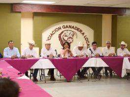 Sonora reactiva exportación de ganado a EU; gestiones de Sheinbaum y Durazo abren la frontera