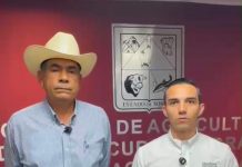 Gobierno de Sonora refuerza vigilancia sanitaria ante detección de gusano barrenador