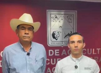 Gobierno de Sonora refuerza vigilancia sanitaria ante detección de gusano barrenador