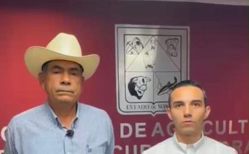 Gobierno de Sonora refuerza vigilancia sanitaria ante detección de gusano barrenador