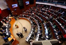 Causa polémica supuesta ley ‘antimemes’