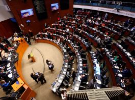 Causa polémica supuesta ley ‘antimemes’