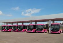 Gobernador Durazo transforma el transporte público: duplica la flota y alcanza 768 unidades en Sonora
